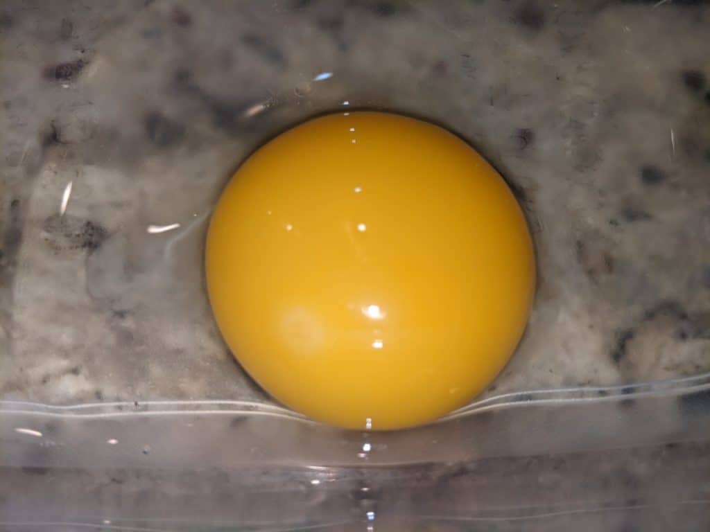 Goose Fertilized Eggs