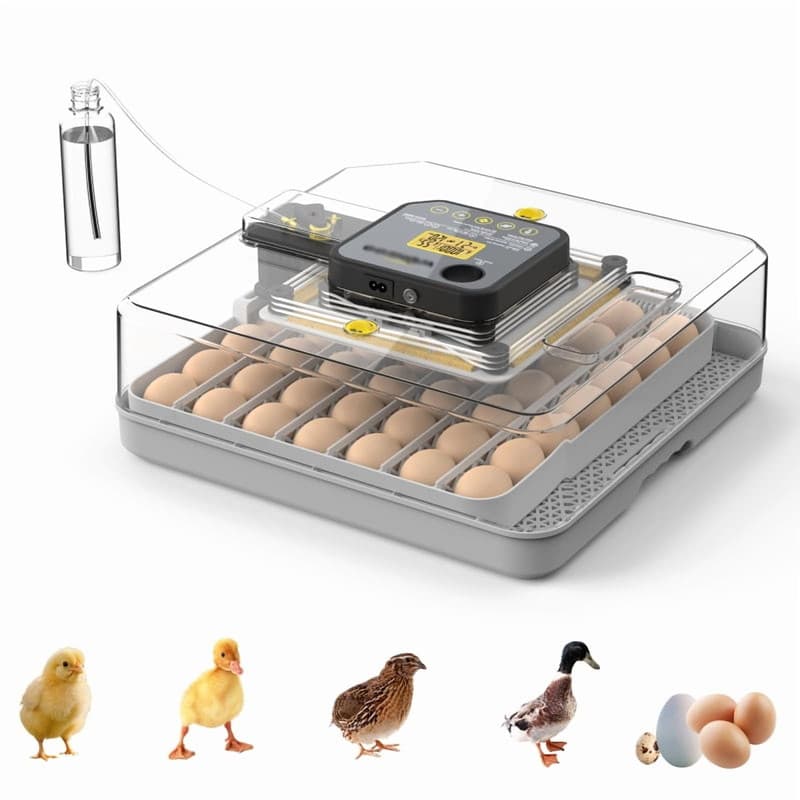 Incubation Services