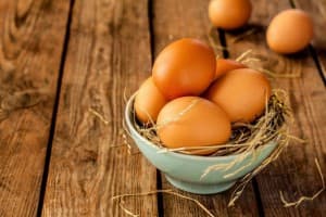 Bantam Fertilized Eggs